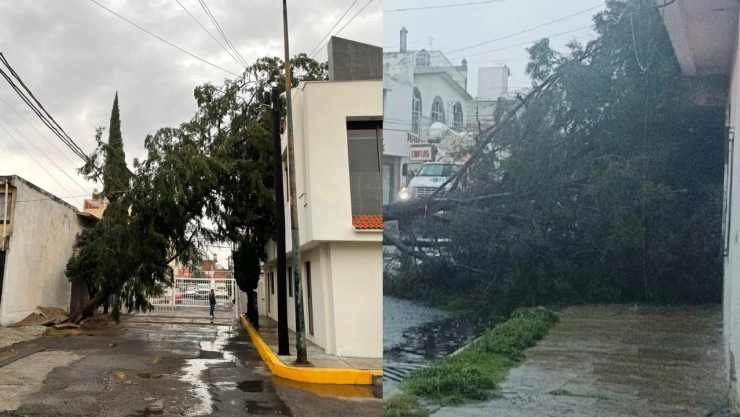 Lluvia en Puebla hoy 30 de mayo de 2024 deja caída de árboles y encharcamientos