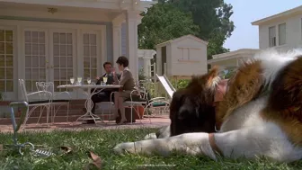 ¿Qué pasó con la actriz Sarah Rose Karr? La recordarás por el personaje de Emily Newton en Beethoven, entérate dónde está ahora.