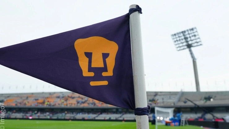 Pumas