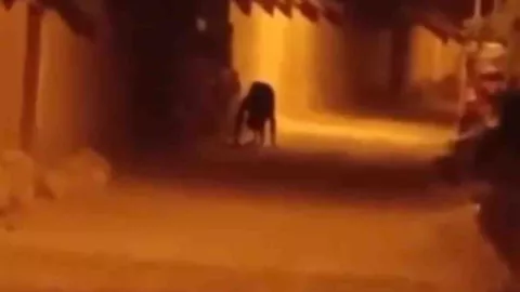 Captan extraña figura en medio de la noche