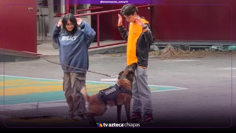 Perro policía detectó sustancia en alumno durante exhibición 