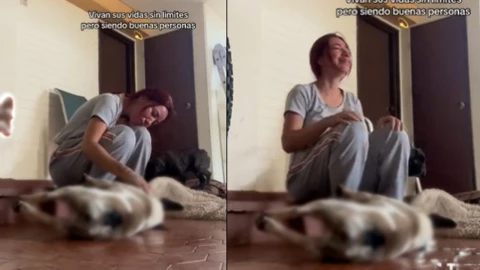 Perro muerto y mujer llorando