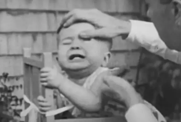 Chimpancé, bebé, psicólogos c.jpg