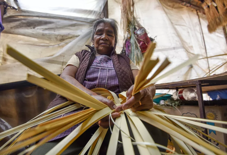 Adulto mayor mujer cuartoscuro.jpeg