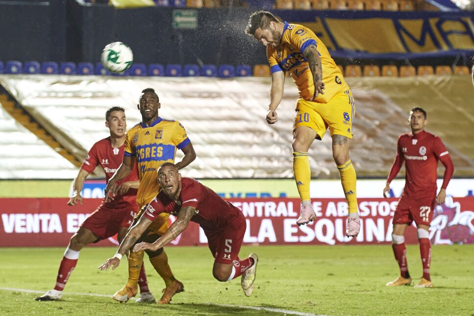 Tigres en cuartos