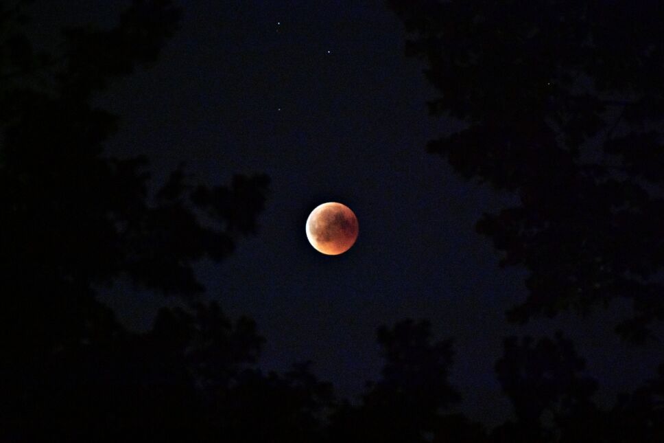 Cómo ver el eclipse de luna de noviembre