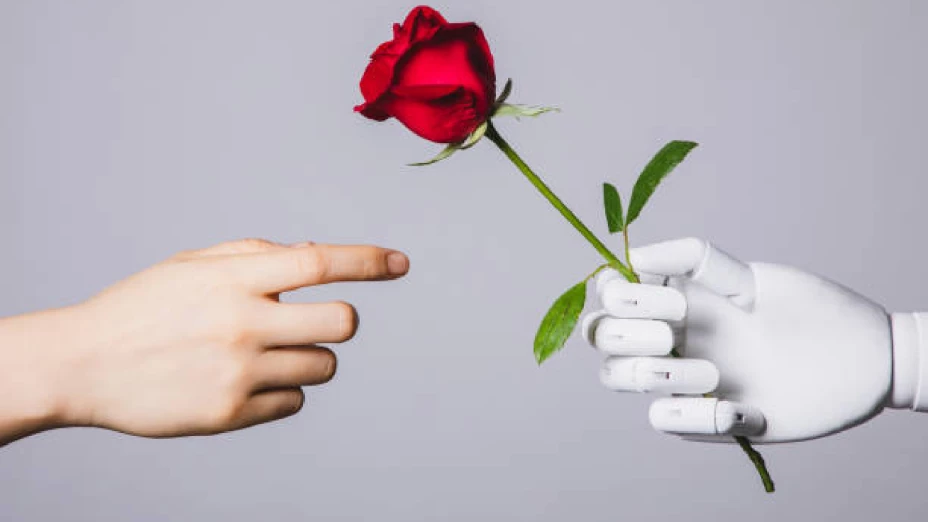 Mujer se casa con personaje virtual