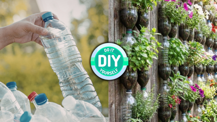 /estilo-de-vida/botellas-de-plastico-reutilizarlas-jardin-vertical