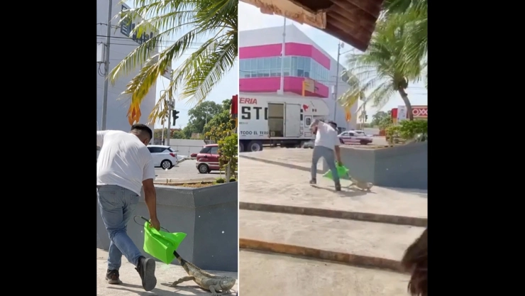 Hombre arrastra a iguana en Veracruz.