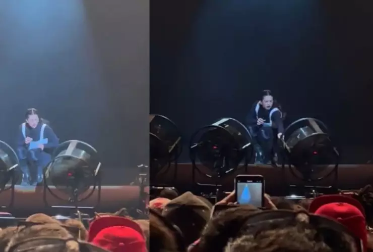 Rosalía sufre accidente en concierto