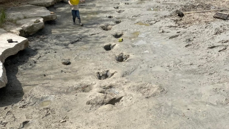 Huellas de dinosaurios en Texas.