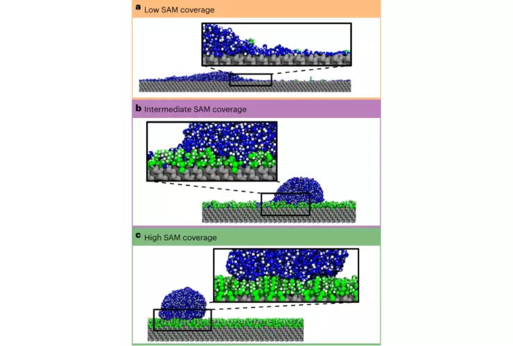 La capa hidrofóbica más resistente del mundo.