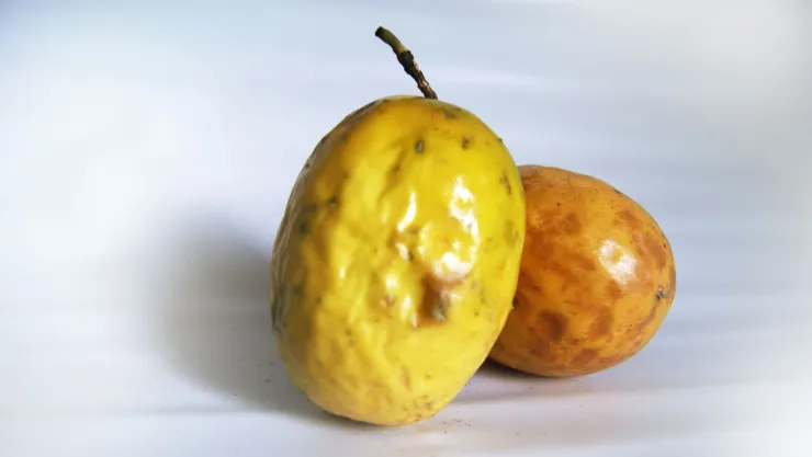 Beneficios del maracuyá para la salud: Un fruto rico en nutrientes