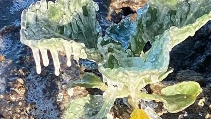 CLIMA frío en Puebla 2025