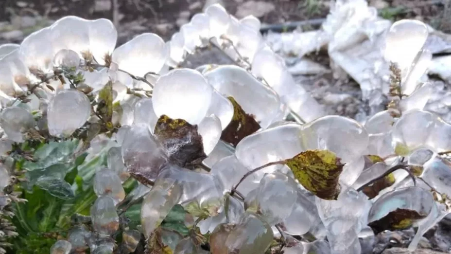 ¿Cuántos frentes fríos faltan antes del fin de 2025?: Fecha de impacto y afectaciones en Puebla