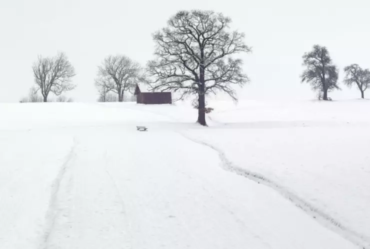 Tormenta invernal en California