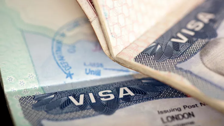 visa fecha de entrega 