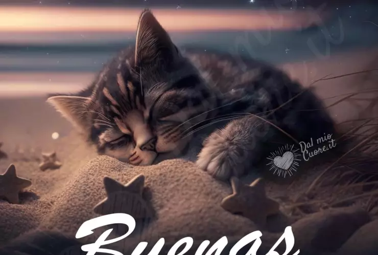Buenas noches gatito
