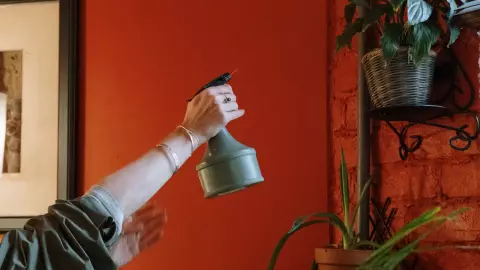 Este es el proceso mediante el cual las plantas reducen en calor y refrescan el ambiente