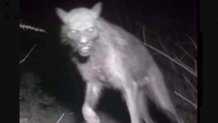 WhatsApp Image 2023-11-21 at 4.38.04 PM.jpeg