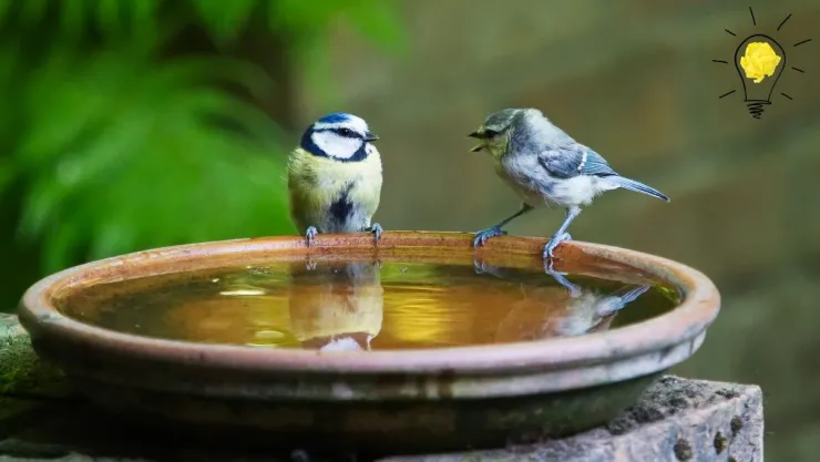 Ideas DIY Cómo construir un bebedero para pájaros con platos de cerámica reciclados.jpg