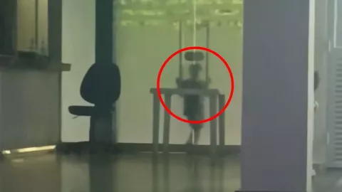 Trabajadores en turno nocturno captan escena perturbadora