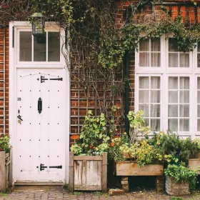 /estilo-de-vida/que-plantas-poner-entrada-alejar-mala-vibra-casa