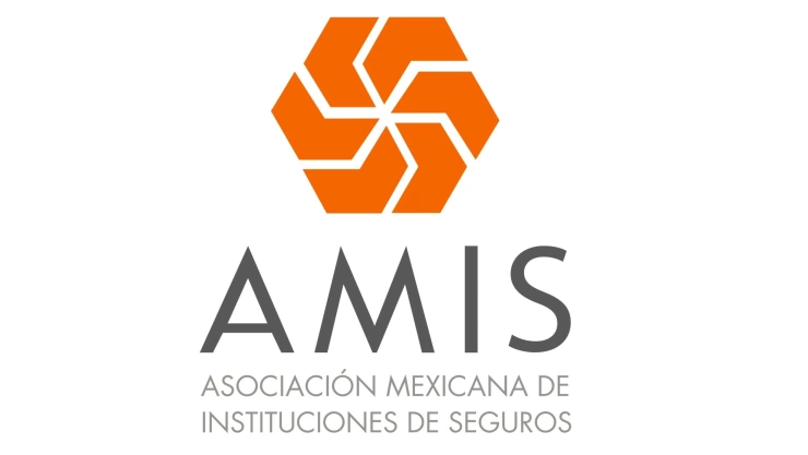 amis logo