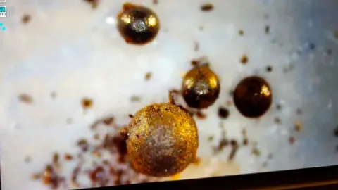 Extrañas esferas metálicas al fondo del mar podrían revelar vida extraterrestre