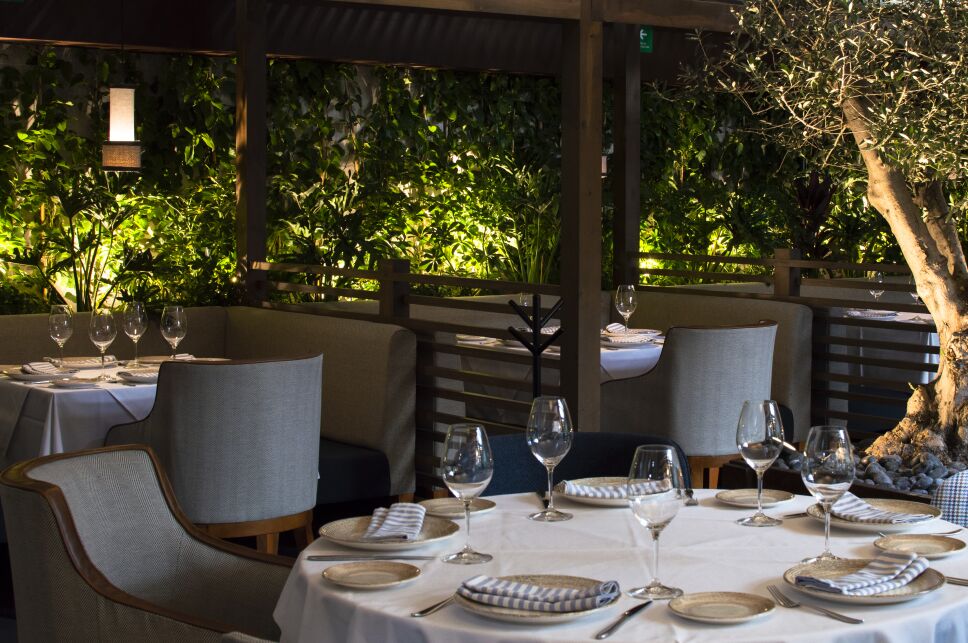 restaurante zeru cdmx