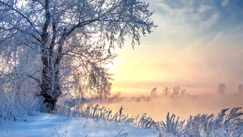 ¿Cómo afectará la Segunda Tormenta Invernal 2025 al clima en Aguascalientes