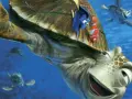 buscando-a-nemo