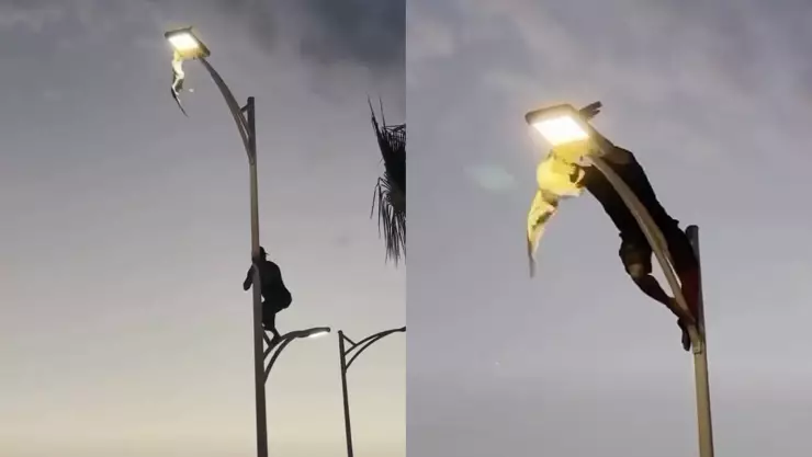 Hombre rescata a gaviota