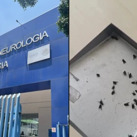 Encontraron moscas en los quirófanos del Instituto de Neurología en CDMX