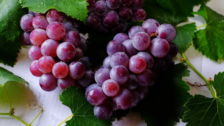 La manera correcta de lavar las uvas en casa de forma fácil