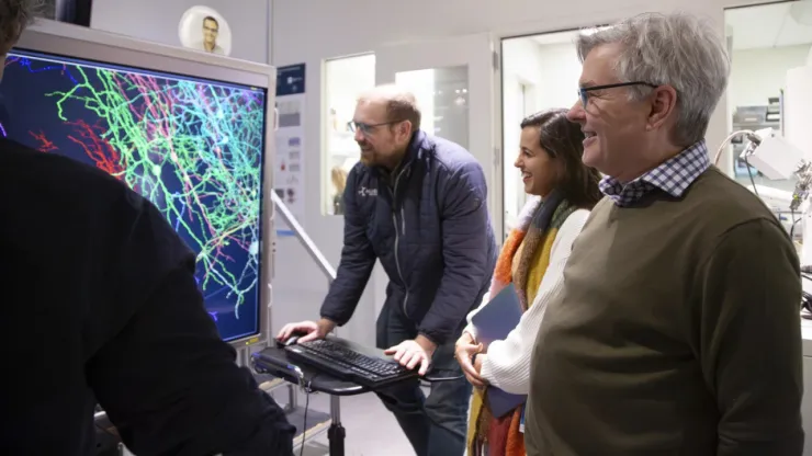 Experimento podría revolucionar el estudio de enfermedades mentales