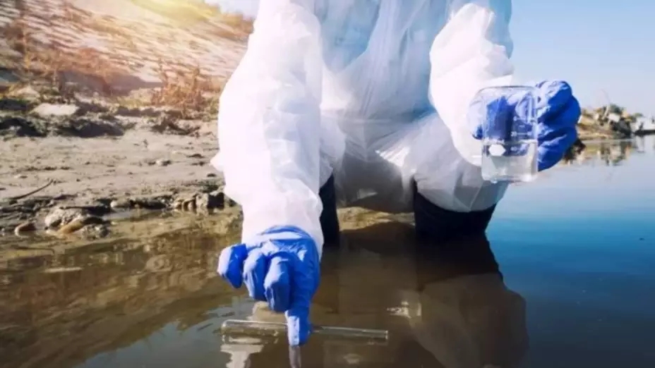 BIOLOGO MARINO- Día Nacional del Biólogo