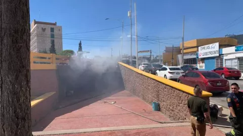 blockquote class=tiktok-embed cite=httpswww.tiktok.com@karolinageitsvideo7313258300907343150 data-video-id=7313258300907343150 style=max-width 605px;min-width 325px; section a target= - 2024-09-17T164308.163.png