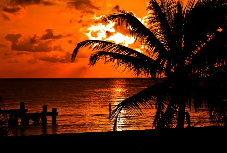 Frase del día de HOY 26 de enero de 2026_ Mensaje inspirador para reflexionar este lunes.webp