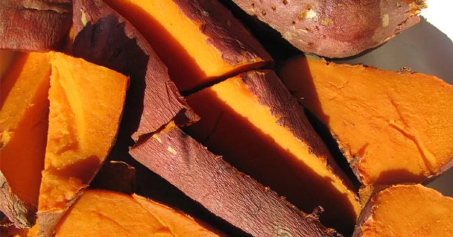 Señalan beneficios del camote para la salud