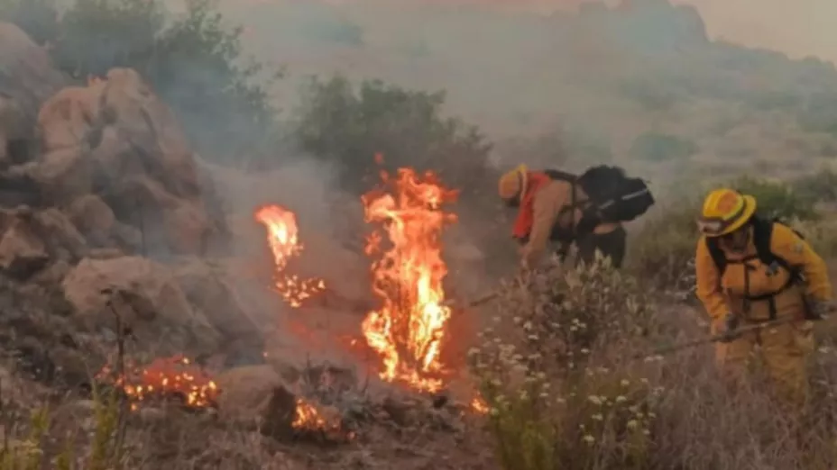 Incendios en Tecate continúan activos este 20 de junio de 2025
