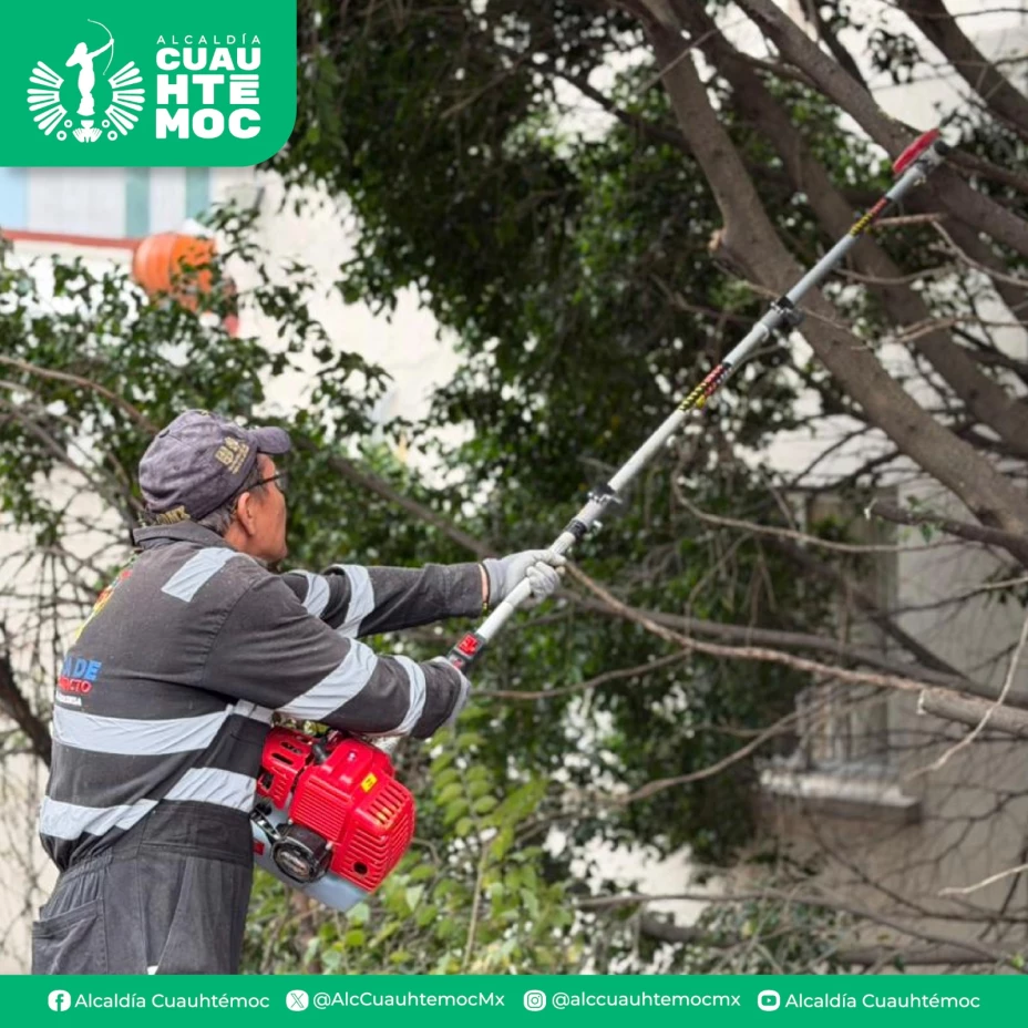 Cuauhtémoc alcaldía 19 enero 2026.jpg