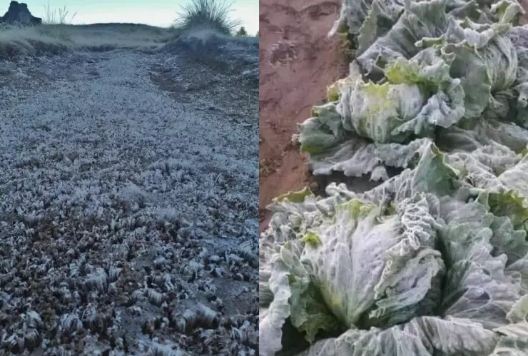 Heladas Puebla hoy 23 de noviembre de 2024