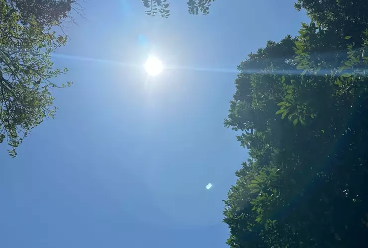 Eclipse solar 2024 en Yucatán: Dónde ver la transmisión en vivo, online, gratis, por internet de la NASA del anillo de fuego que oscurecerá México este 8 de abril