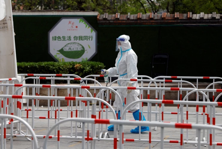 que es gripe aviar h3n8 china