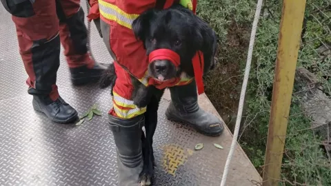 Texto del párrafo - 2025-05-05T150110.175.jpg