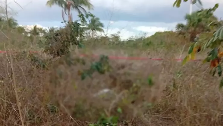 ¡Tragedia! Hallan SIN VIDA a abuelito en terreno baldío tras días desaparecido en Tizimín