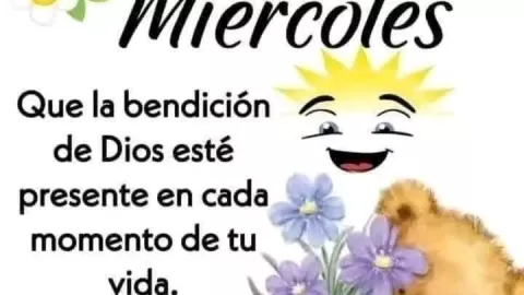 frases imagenes feliz miercoles.jpeg