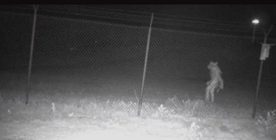 Reaparece el Chupacabras en Texas