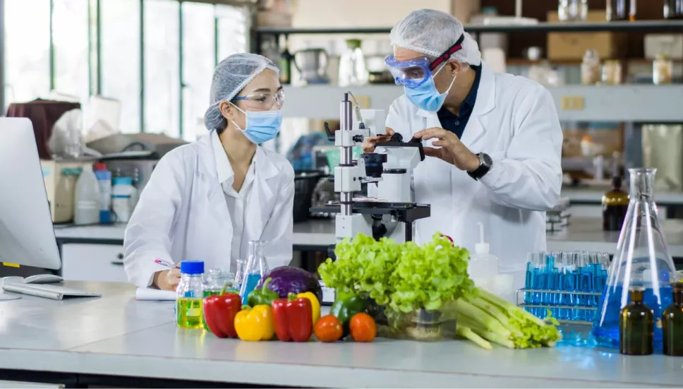 Alimentos con plomo